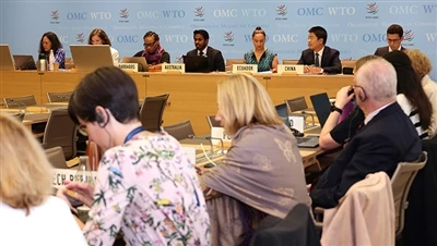 WTO xem xét các khoản tín dụng thuế của Hoa Kỳ theo Đạo luật giảm lạm phát th...