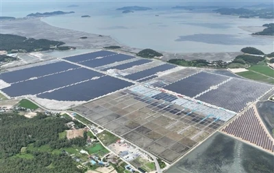 Hàn Quốc ra mắt đấu thầu năng lượng mặt trời 1GW với tiêu chuẩn carbon chặt c...
